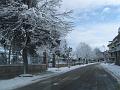 Neve (21)